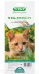 TiTBiT трава для кошек пшеница